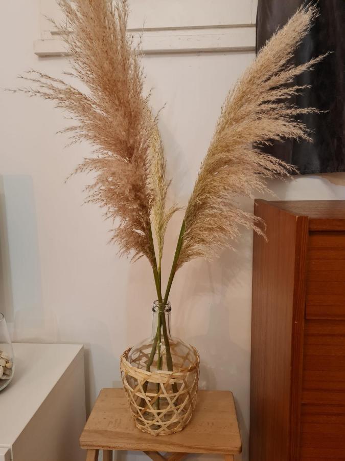 Sete T2 Cosy Et Chaleureux Quartier Gareアパートメント エクステリア 写真